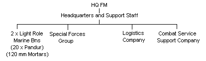 The Portuguese Marine Corps (Fuzileiros Navais  FM) Outline Structure