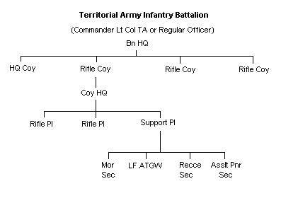 Territorial Infantry Battalion Outline Structure 