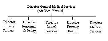 RAF Personnel & Training - Director Medical Services Diagram