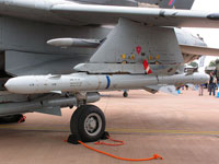ALARM stands for Air-Launched Anti Radiation Missile and this type was introduced into RAF Service in the early 1990s.