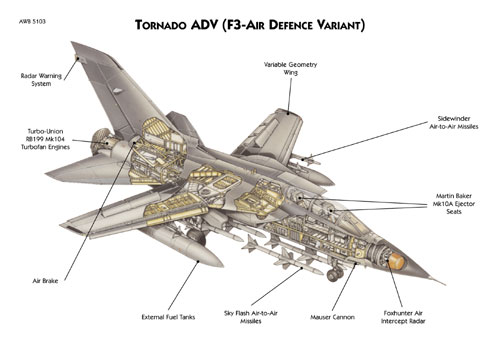 Tornado F3 (Cutaway View)